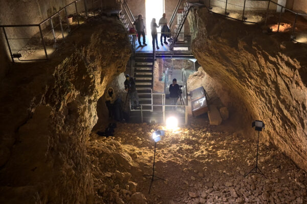 Esposizione Archeologica Berica — Art direction, produzione